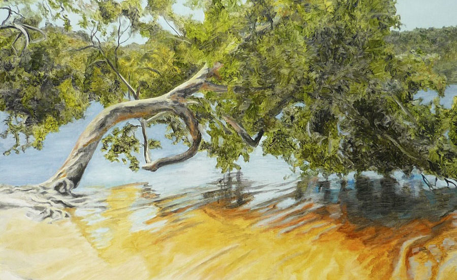 Large square oil painting of Brown Lake North Stradbroke Island.